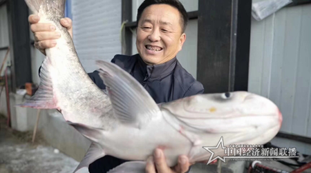 黑龍江連環湖天然野生魚喜獲豐收