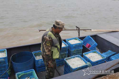 黑龍江連環湖天然野生魚喜獲豐收